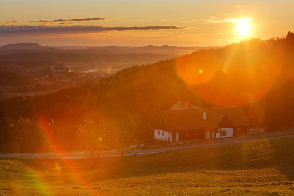 Hotel Schilcherlandhof シュタインツ エクステリア 写真